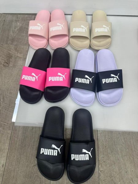AY-1  PUMA